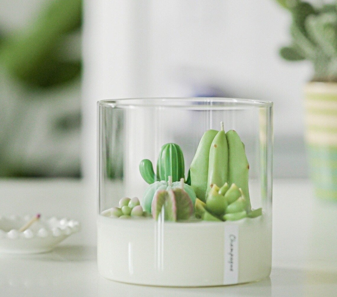 Large Cactus Succulent Terrarium Candle 3 Wick Entryway Etsy