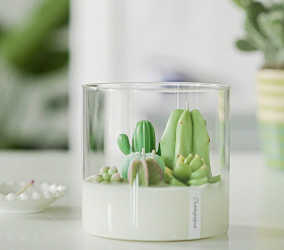 US Seller Handmade Glass Potted Plants, Succulents, Artificial Cactus,  Decoration Super Cute Gifts 