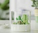 Large Cactus succulent Terrarium Candle - 3 wick | Entryway Home Decor | Gifts for mother | Gifts for teachers | Housewarming gifts 