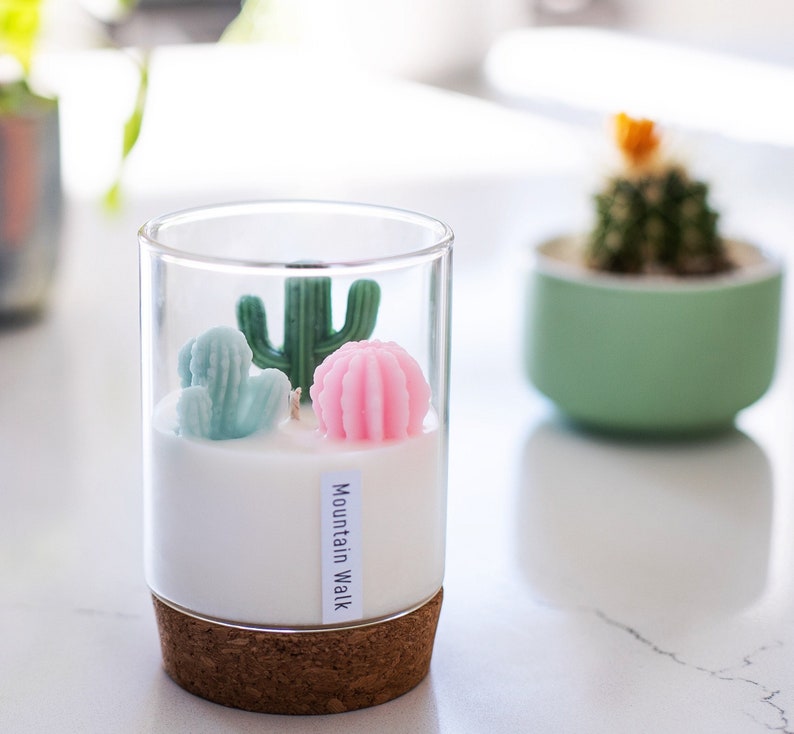 Cactus Candle for Cactus and Succulent Lovers | Terrarium Candle | Succulent Candles | Container Candle | Soy Candle| Gifts for plant lovers 