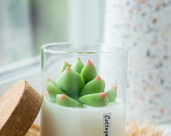 Succulent Soy Candle | Room Decor for Cactus and Succulent Lovers | Housewarming Gifts | gifts for teacher | gifts for her|home decor candle