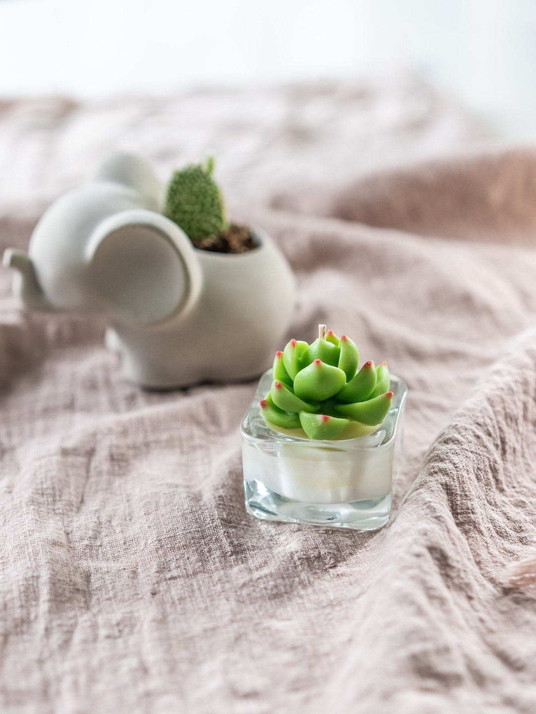 Bougies Chauffe-plat Cactus Parfumées - Décoration Fête Mariage | Cadeau Original Saint-Valentin