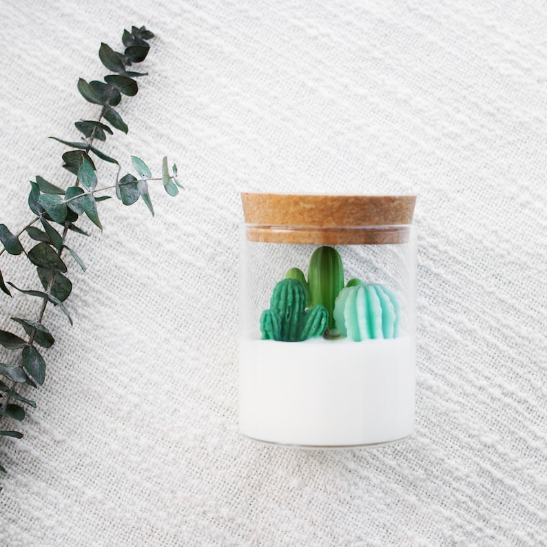 Carefully crafted cactus Candle for Cactus and Succulent Lovers Succulent Candles Container Candle Soy Candle Gifts for plant lovers image 3