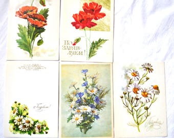 Vintage Floral Postcards: USSR Botanical Art, Poppy & Daisy (1960-80s)