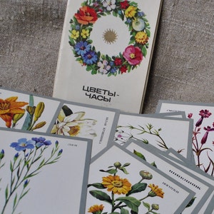 Lot de 15 cartes postales de fleurs colorées avec des biorythmes quotidiens illustrés par Kurtenko 1980