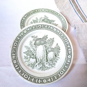 Vintage Mushroom Plates Set 2 Porcelain Budi Ukraine Green Transferware 21 cm