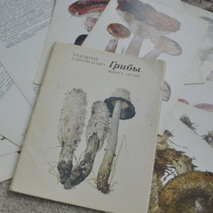 Pilze - Set von 16 Vintage Botanischen Farbpostkarten, von Shipilenko, 1984