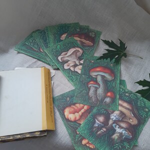 Funghi velenosi e commestibili, gioco da tavolo educativo, gioco di carte abbinate
