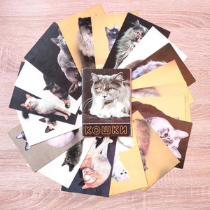 Cats - Set of 18 Vintage  Cards, 1991.