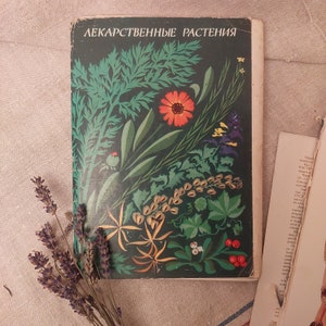 Set mit 32 großen Farbkarten mit illustrierten Heilpflanzen mit russischen Beschreibungen, Kunstwerk von Shipylenko, 1976