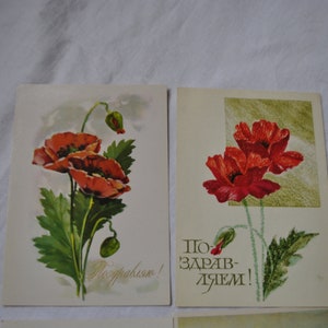 set van 3 wenskaarten met bloemen, botanische illustraties met klaproos, madeliefjebloemen gemaakt in de USSR van de jaren 1960-80