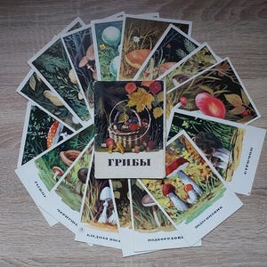 May include: A collection of vintage postcards featuring illustrations of different types of mushrooms. The postcards are arranged in a circle around a small book titled "Грибы" (Mushrooms) in Russian.