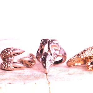 Cryptic Charms: Gothic Ring Haven with Mysterious Cat, Raven, and Claw Designs