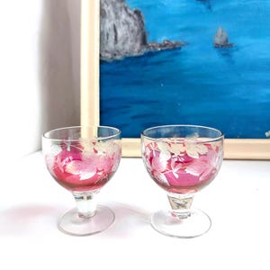 Puede incluir: Dos copas de licor de cristal transparente con diseños de hojas grabadas y el interior rosa. Las copas tienen un tallo corto y una base redonda. El fondo presenta una pintura enmarcada de un paisaje marino.