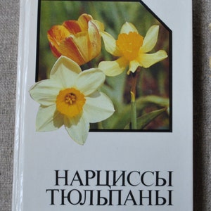 1980s gardening book Daffodils and Tulips