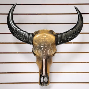Bull Head Skull/Carving Art/Skull/Animal Skull/Animal Specimen/Corner/tribal religion/garden decoration/gifts/home decoration/House party