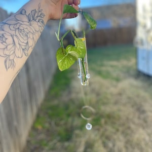 Wall or Window Propagation station, Sun Catcher Propagation Station, Boho Design, Test Tube holder for Propagating Plant Cuttings in Water