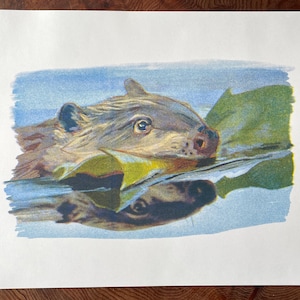 Baby Beaver Risograph Print