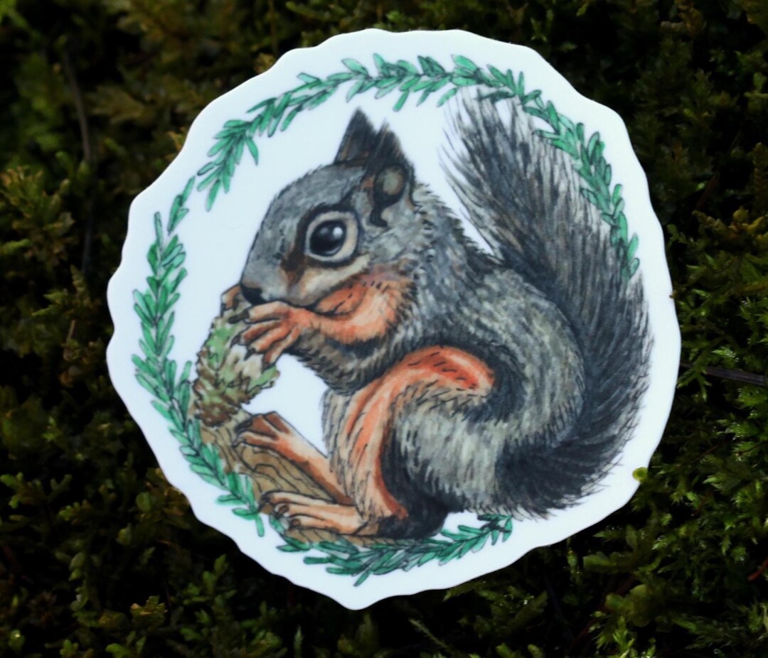 Douglas Squirrel Sticker, Watercolor Painting, Weatherproof Vinyl Decal ...