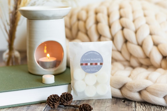 Etsy on sale wax melts