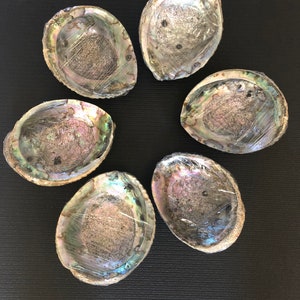 XXL Abalone Shell & California White Sage Smudge Kit. Abalone Shell Smudge Bowl Bundle. Sage and Lavender Smudging Kit. Palo Santo Kit