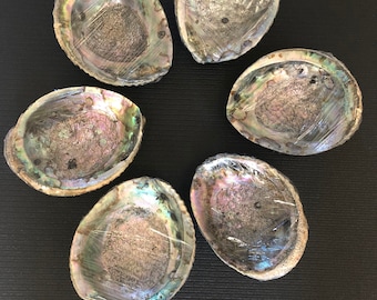 XXL Abalone Shell & California White Sage Smudge Kit. Abalone Shell Smudge Bowl Bundle. Sage and Lavender Smudging Kit. Palo Santo Kit