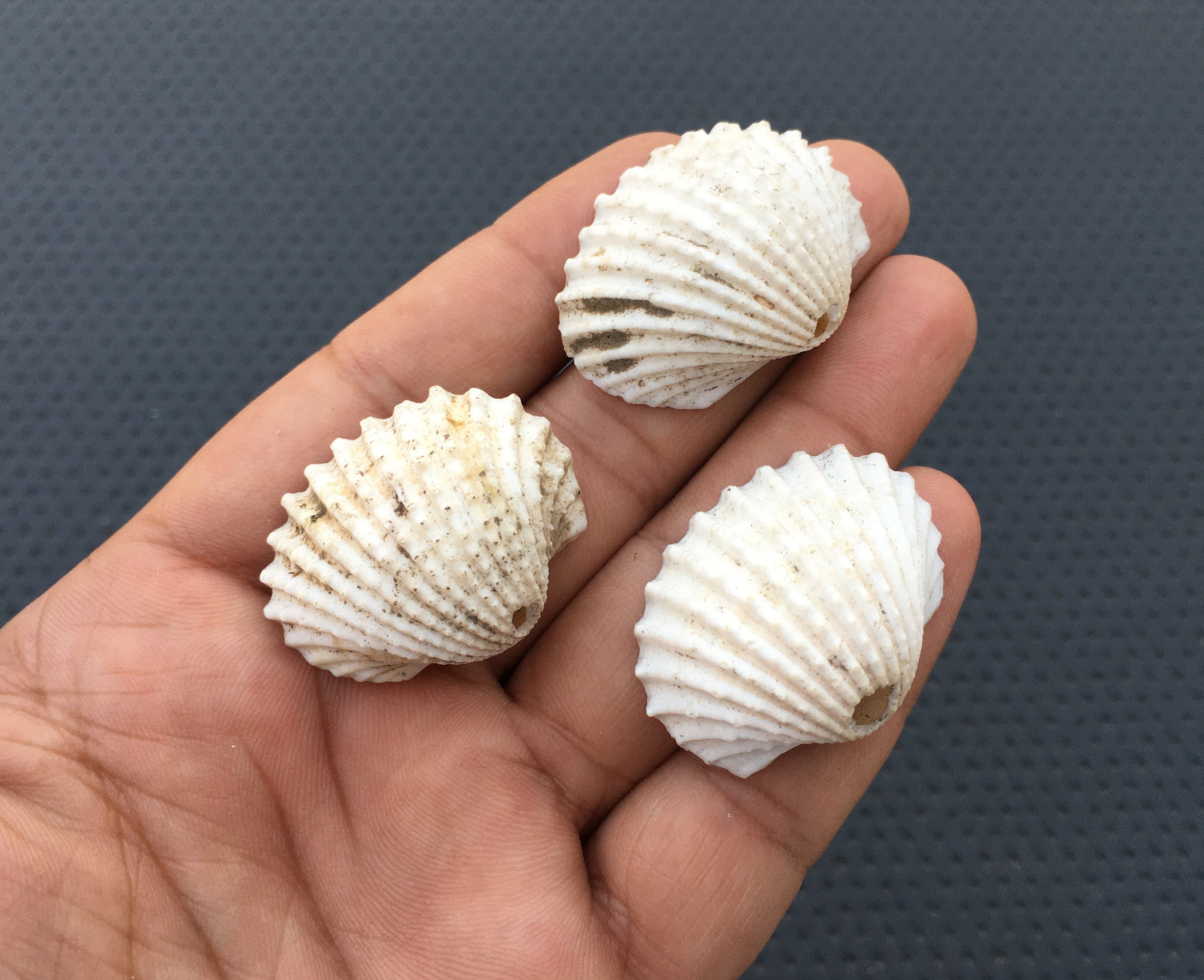 il_fullxfull.2366390286_887i.jpg