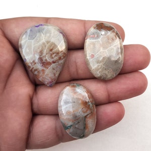 May include: Three oval-shaped cabochons of fossilized coral with a white, brown, and pink color pattern. The cabochons are smooth and polished.