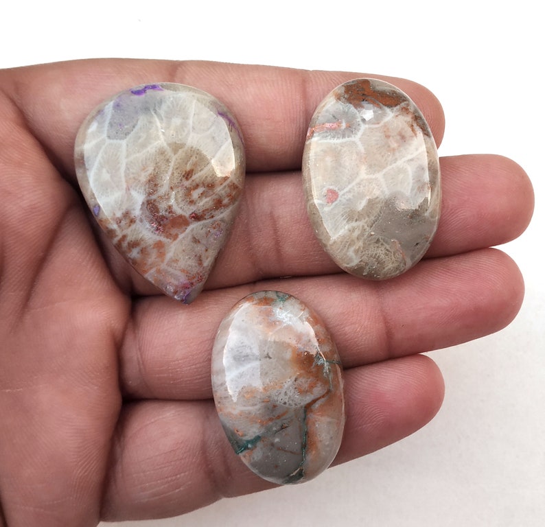 May include: Three oval-shaped cabochons of fossilized coral with a white, brown, and pink color pattern. The cabochons are smooth and polished.