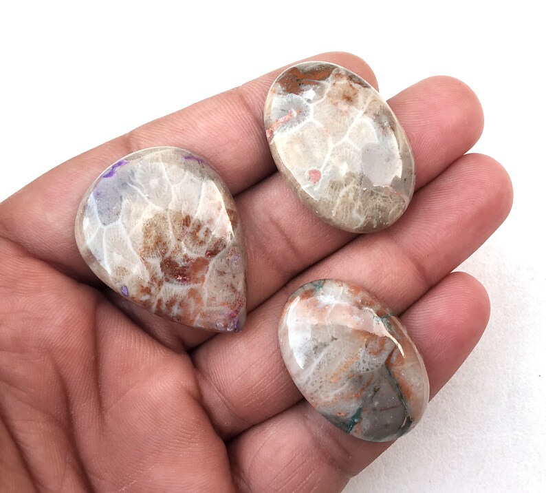 May include: Three fossilized coral cabochons in a teardrop and oval shape. The cabochons are a mix of white, brown, and orange with a swirling pattern.