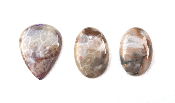 Ocean Jasper Cabochons: Charoite & Seep Shells, 3 Piece Gemstone Set