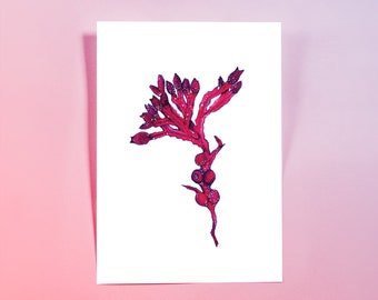 A5 Heavy Weight Art Print - SEAWEED IN RED – 100% recycled paper, artwork, wall art, illustration print, botanical print, botanicals, ink