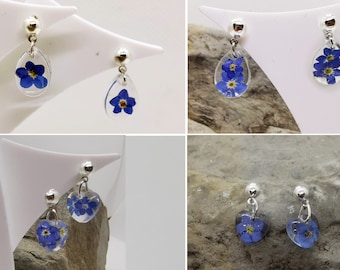 Forget-me-not dangling earrings/ Handmade/ Real flowers