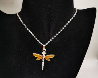 Dragonfly with amber coloured wings