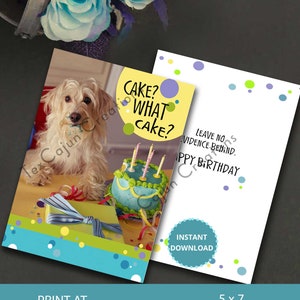 Funny Birthday Card for anyone, Happy Birthday, Digital Card, Card for Him, Card for Her, Greeting Cards, Printable Card, Instant Download