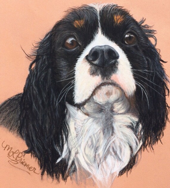 original king charles spaniel