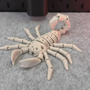3D Printed Flexi Skeleton Scorpion: Poseable Desk Decor