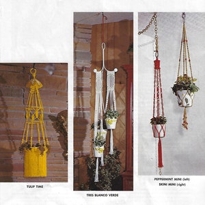 Peut inclure: Trois suspensions macramées pour plantes avec des motifs et des couleurs différents. La première est jaune et s'appelle "TULIP TIME". La deuxième est blanche et s'appelle "TRES BLANCO VERDE". La troisième est rouge et s'appelle "PEPPERMINT MINI (left)" et "SKINI MINI (right)".