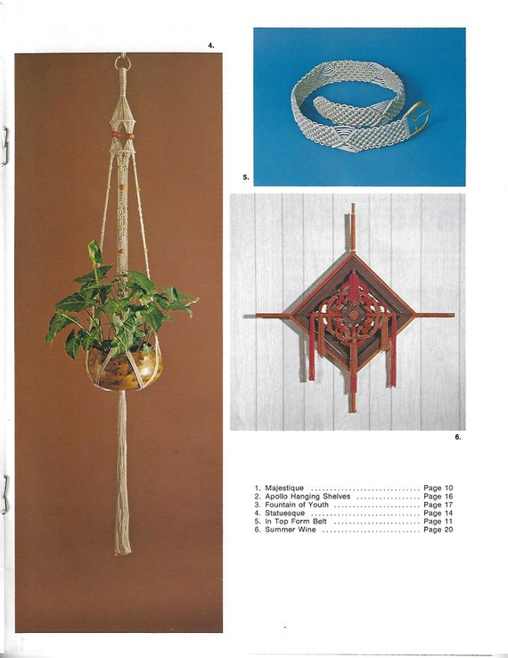 Plantes d'intérieur dans des cintres en macramé | Vecteur Premium