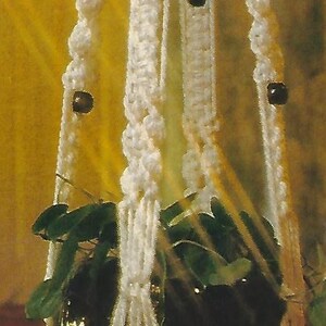 May include: White macrame plant hanger with a black pot and green plant. The hanger has a tassel at the bottom.