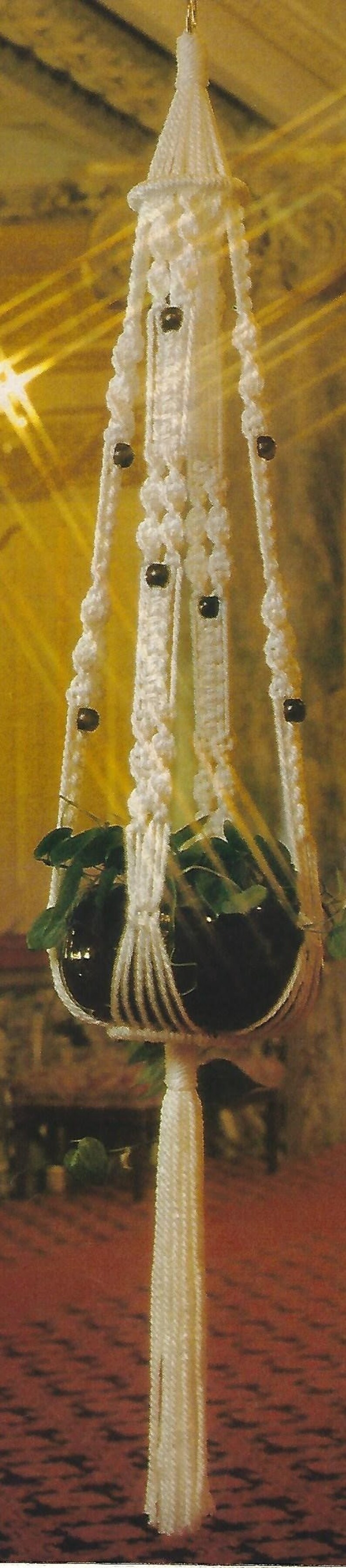 May include: White macrame plant hanger with a black pot and green plant. The hanger has a tassel at the bottom.