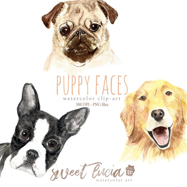 Watercolor Clip Art Puppy Faces Set, Dog, Golden Retriever, Boston Terrier, Pug, Pets, Animals, Friends, Doggo, Cute, Scrapbook