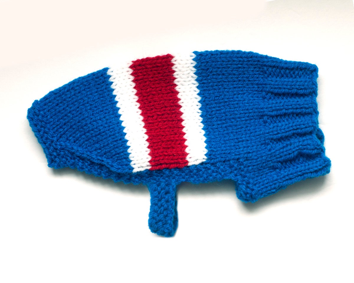 KNITTING PATTERN PDF Guinea Pig Sweater 