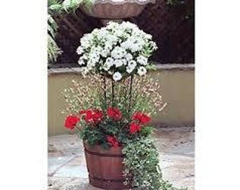 Toppitt Instant Topiary