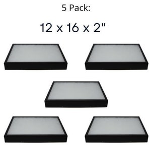5 Pack of Riker Display Case 12 x 16 x 2 for Collectibles Jewelry Arrowheads