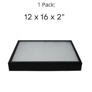 Riker Display Case 12 x 16 x 2 for Collectibles Jewelry Arrowheads & More