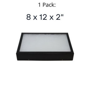 Op de afbeelding: Zwarte display case met een witte schuimrubberen inleg. De case meet 20,3 cm bij 30,5 cm bij 5,1 cm.