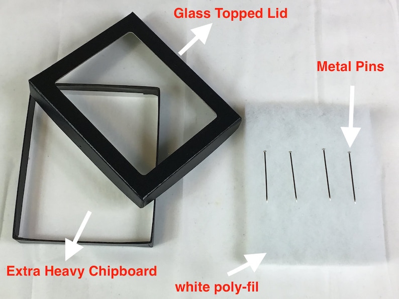 4 Pack of Riker Display Cases 12 x 16 x 1 14for Collectibles Arrowheads Jewelry