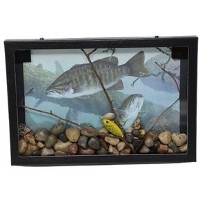 Old Fishing Lure Fred Arbogast Jitterbug in Custom Made Display Case