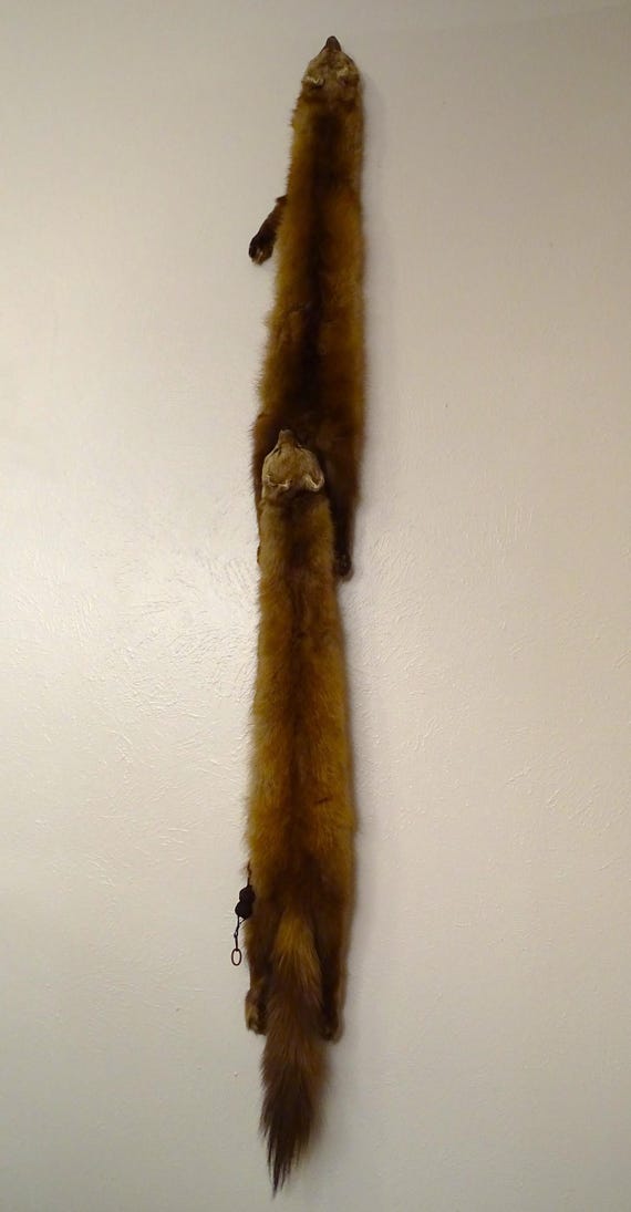 Mink Collar - image 4